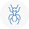 Ant Removals In Bury St Edmunds