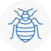 Bed Bug Extermination In Bury St Edmunds