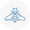 Bee Nest Removal Bury St Edmunds