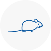 Mice Exterminators In Bury St Edmunds
