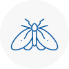 Moth Control Specialists In Bury St Edmunds