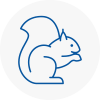 Bury St Edmunds Rodent Removals